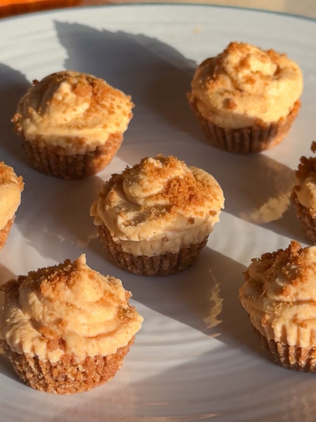 Pumpkin Cheesecake Bites – No-Bake & Totally Irresistible!