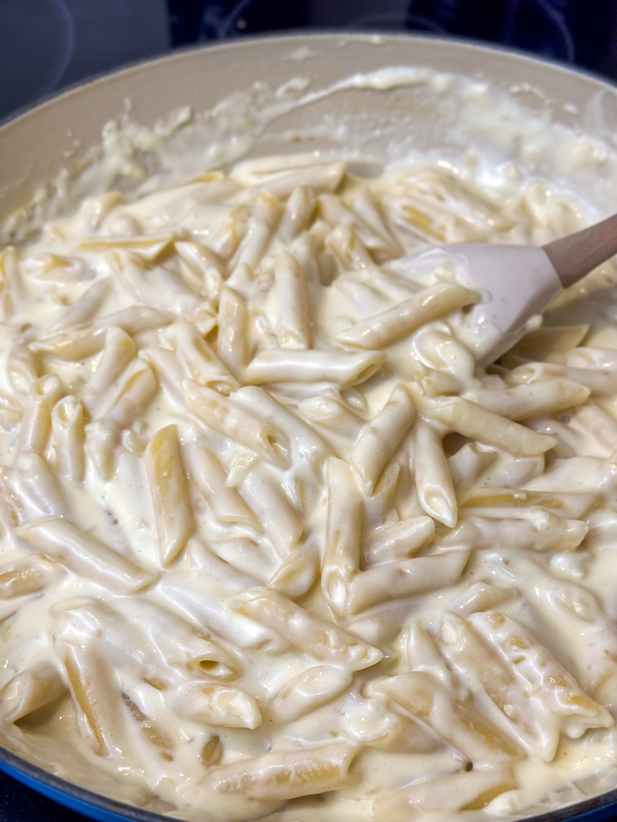 creamy garlic penne