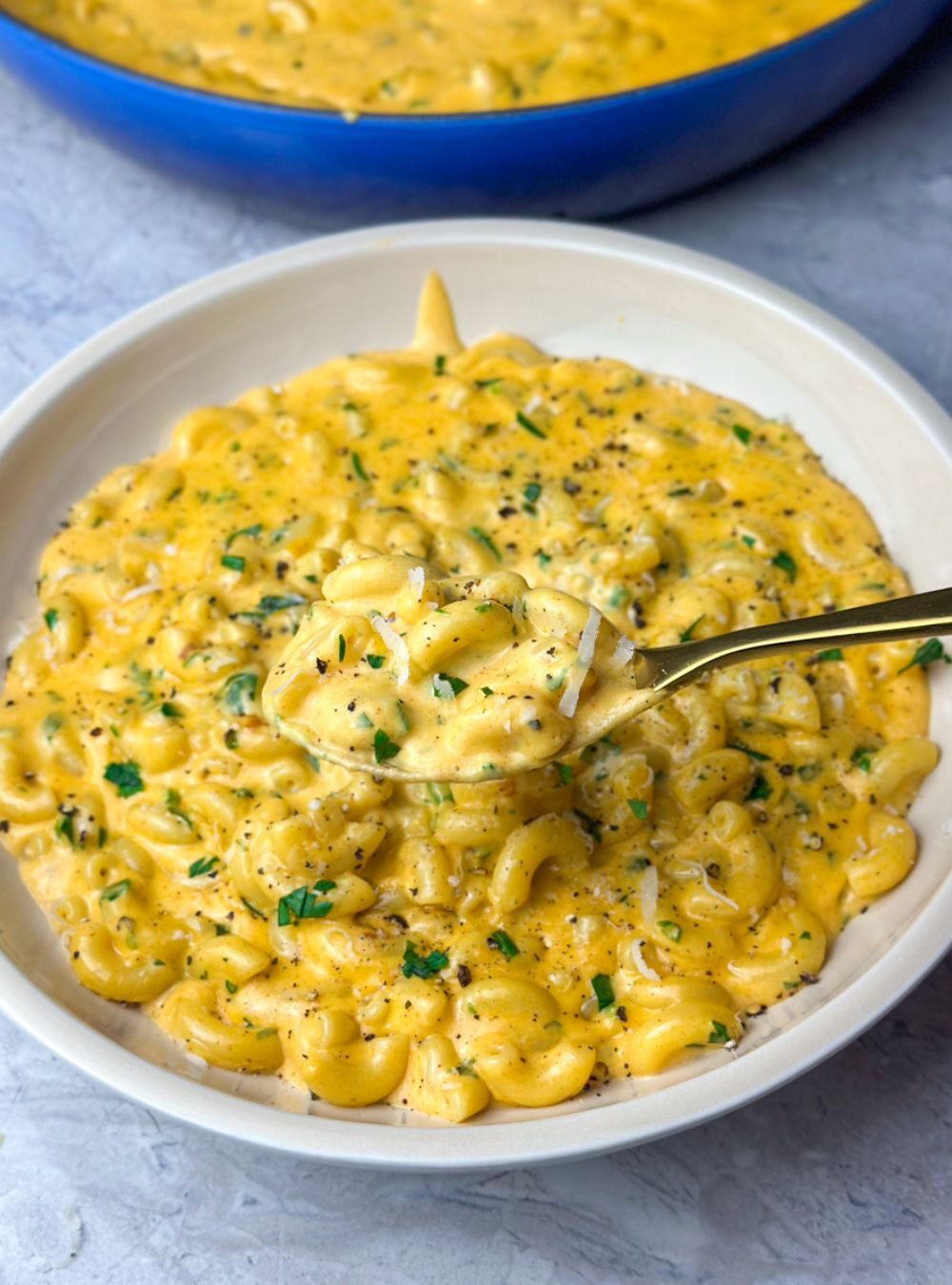 creamy four cheese mac and cheese