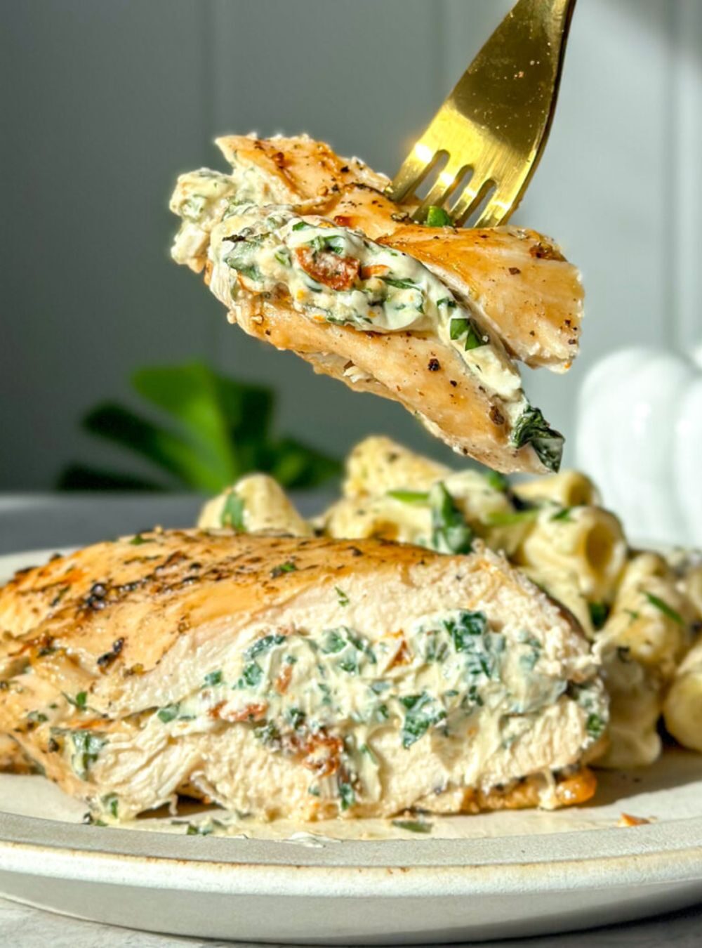 creamy stuffed chicken