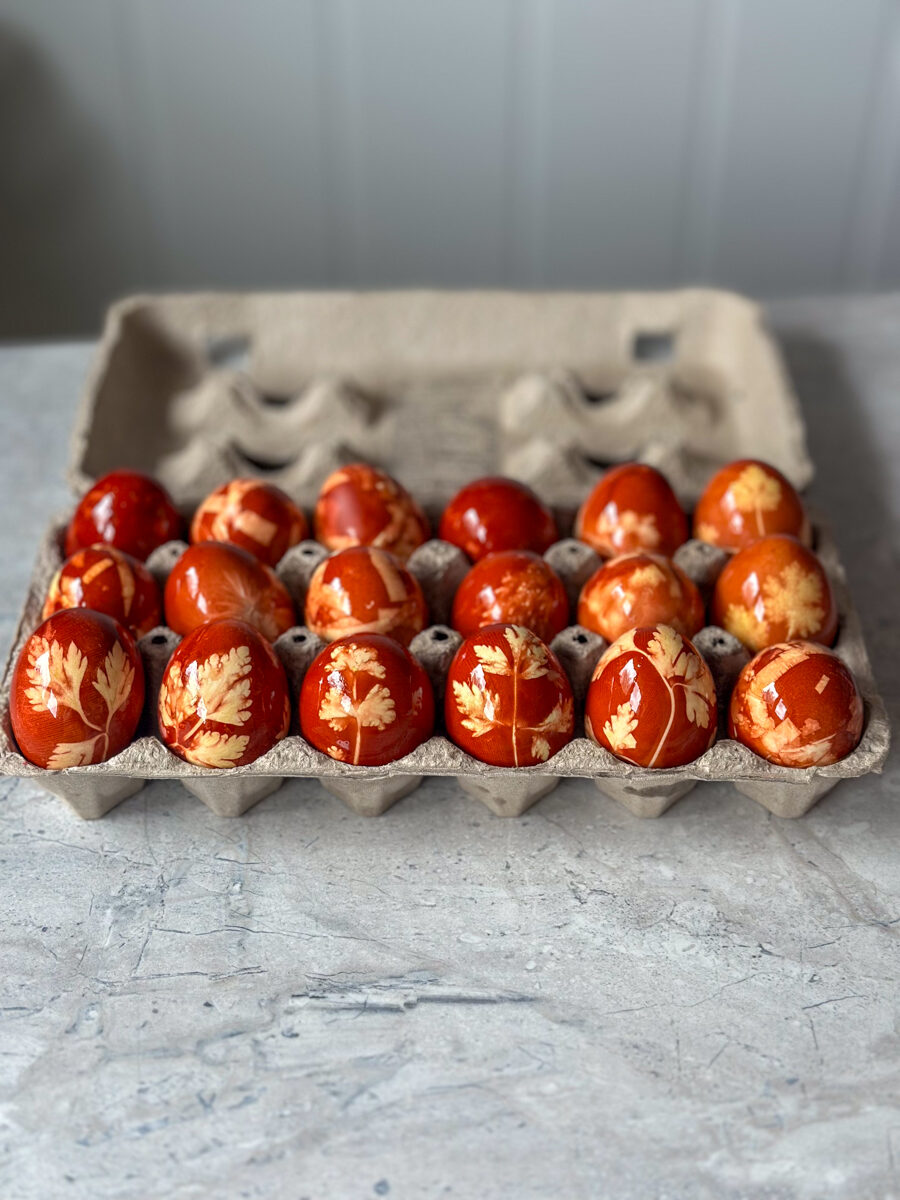 Dyeing eggs with onion skins