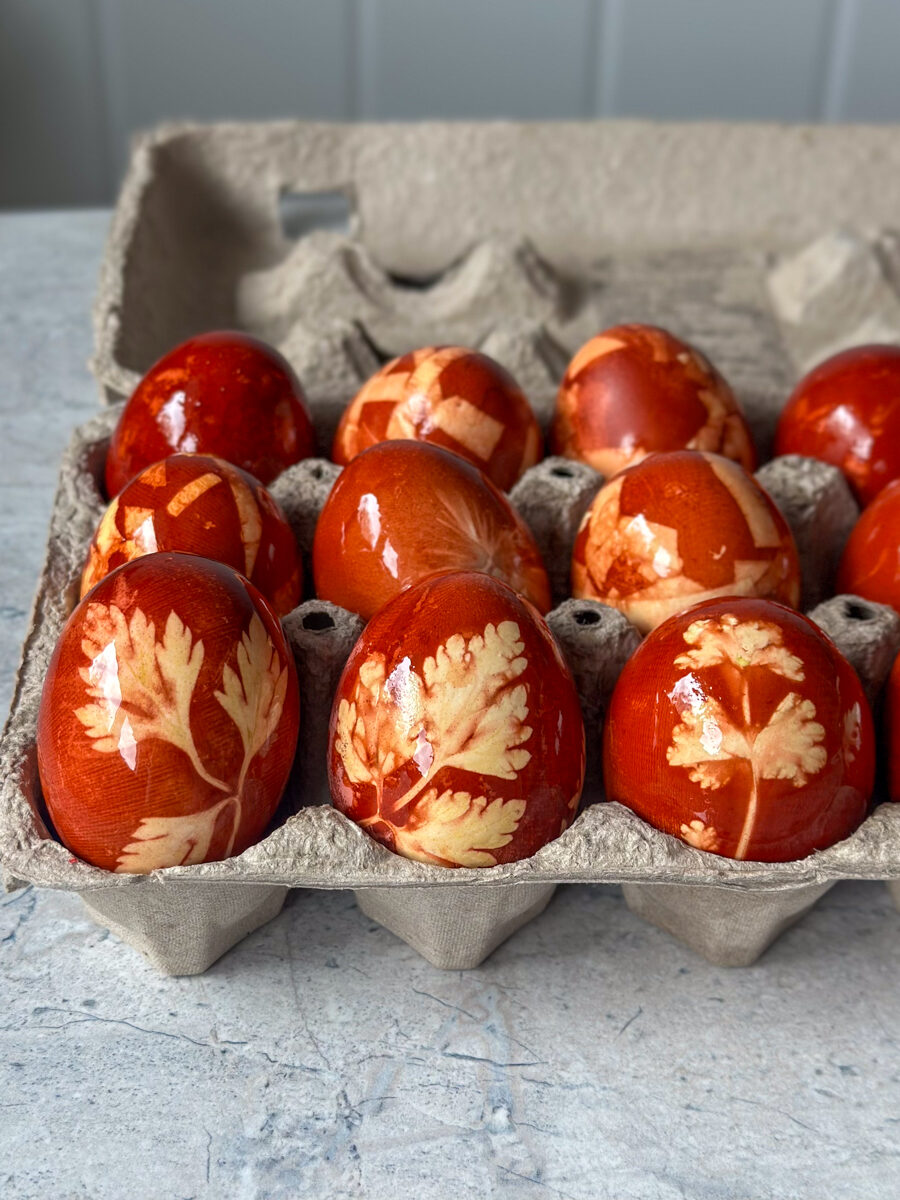Dyeing eggs with onion skins
