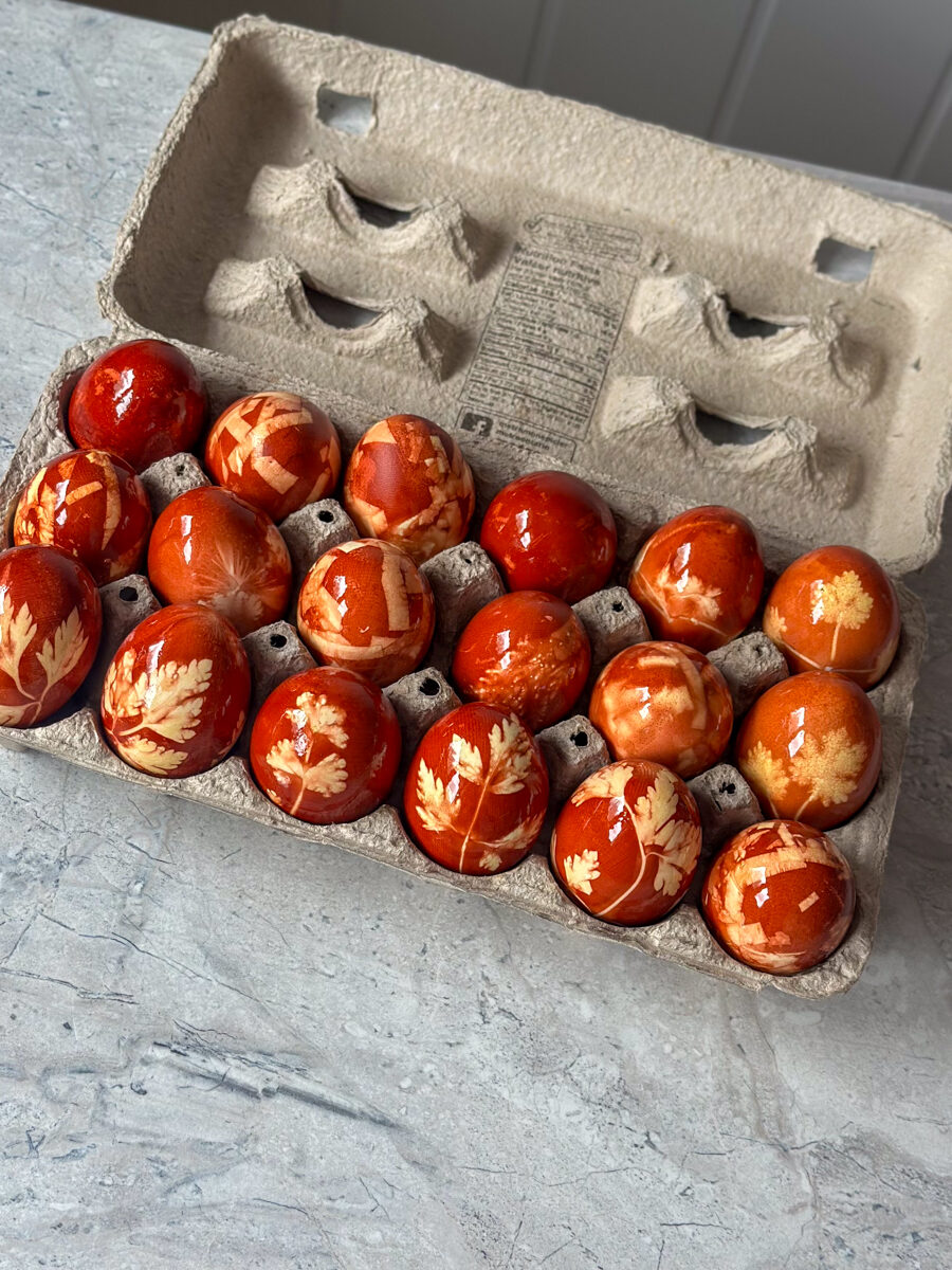 Dyeing eggs with onion skins