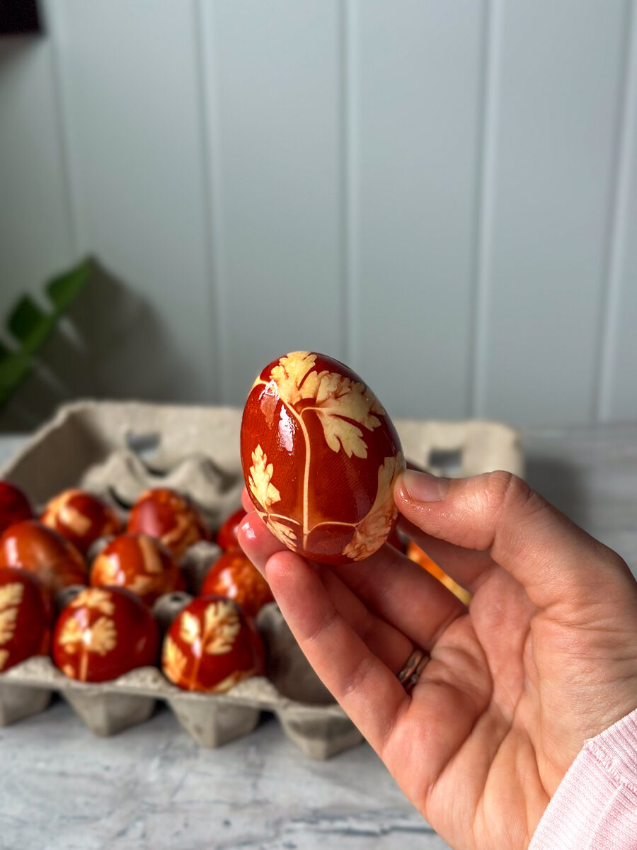 Dyeing eggs with onion skins