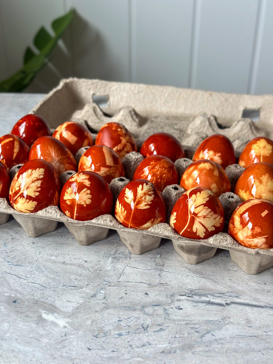 Dyeing eggs with onion skins