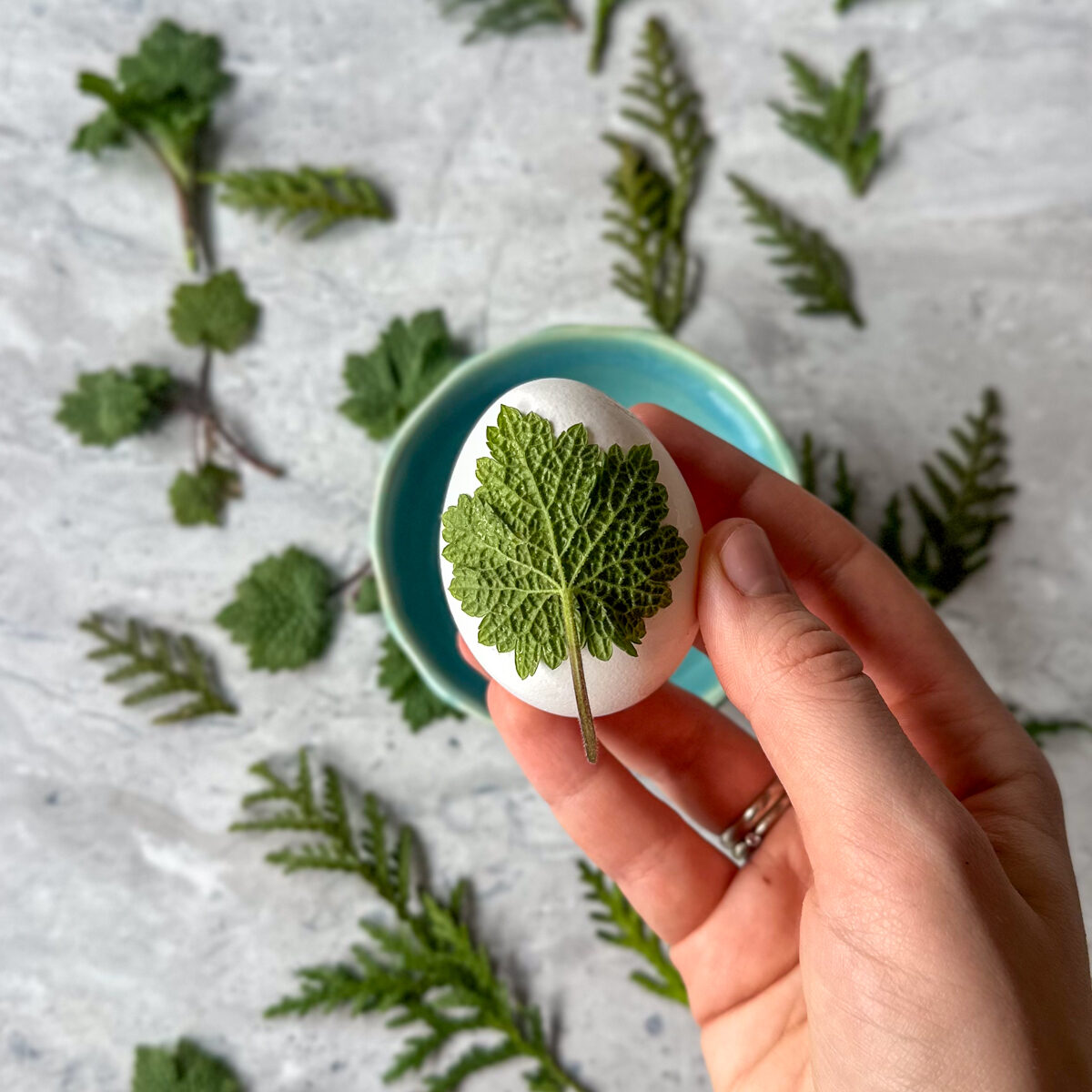 Using water, stick a leaf or (like parsley) onto each egg.