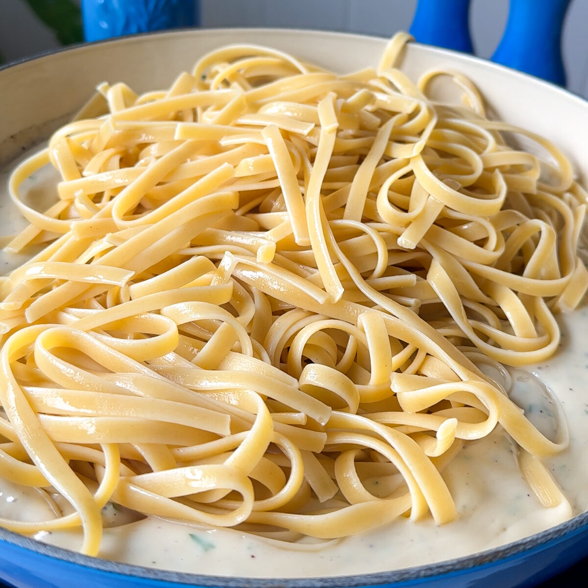Vegan alfredo recipe