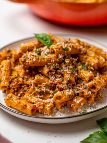 creamy bolognese