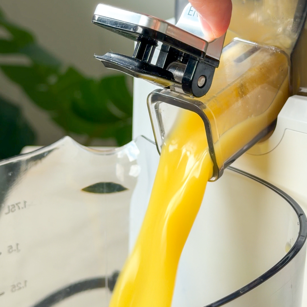 Strain out the juice!