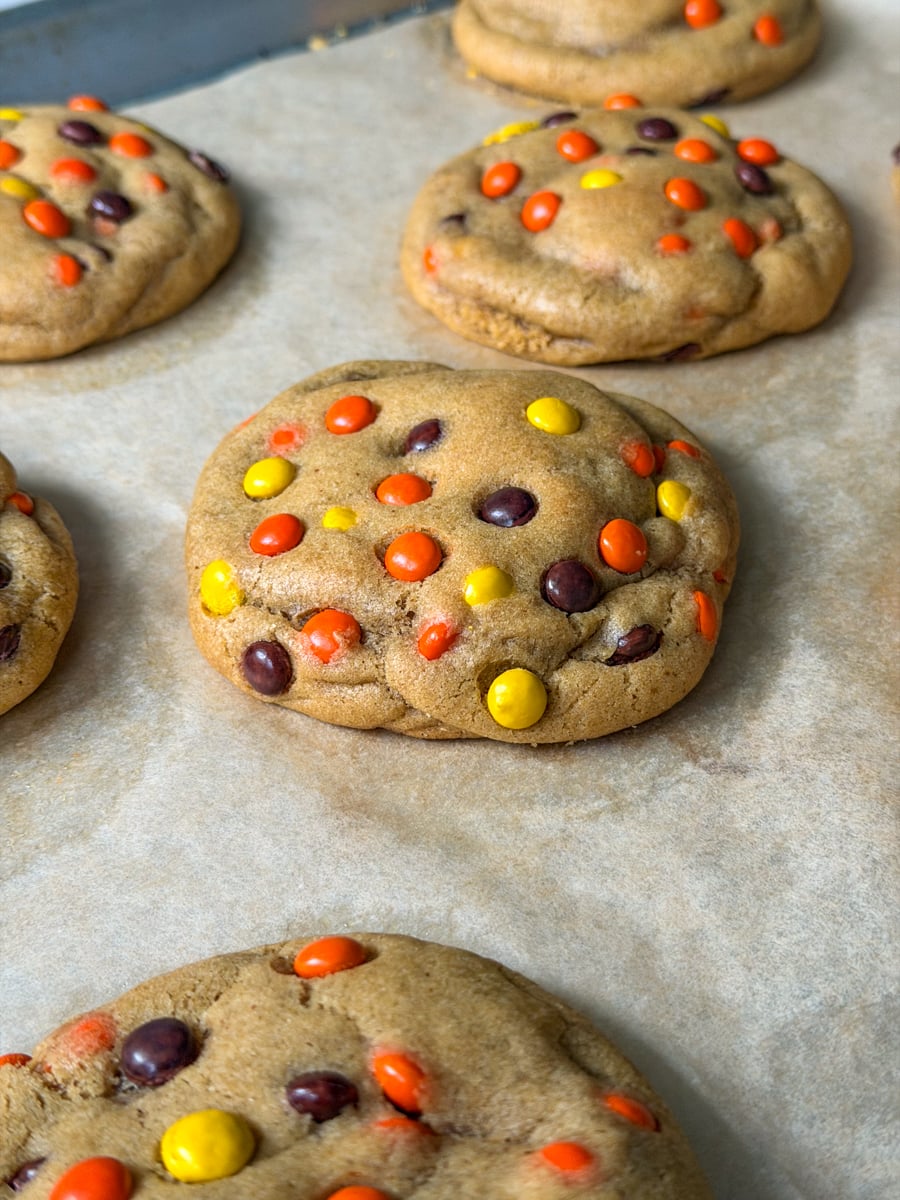 reeses pieces cookies
